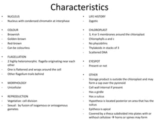 gametes range from oogamous to isogamous
