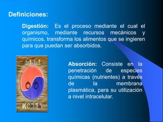 nutricion