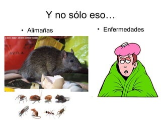 Y no sólo eso… Alimañas Enfermedades 