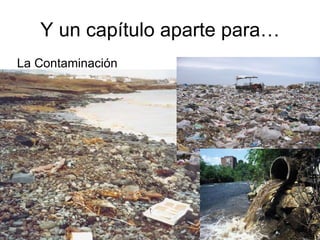 Y un capítulo aparte para… La Contaminación 