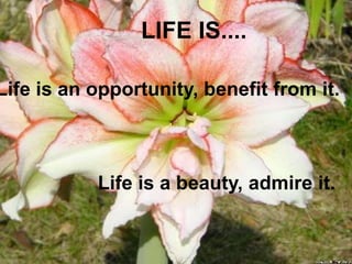 LIFE IS....

Life is an opportunity, benefit from it.



           Life is a beauty, admire it.
 
