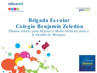 Brigada Escolar  Colegio Benjamín Zeledón Plantan Arboles para Mejorar el Medio Ambiente junto a la Alcaldía de Managua 