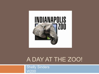 A DAY AT THE ZOO!
Shelly Sinders
W200
 
