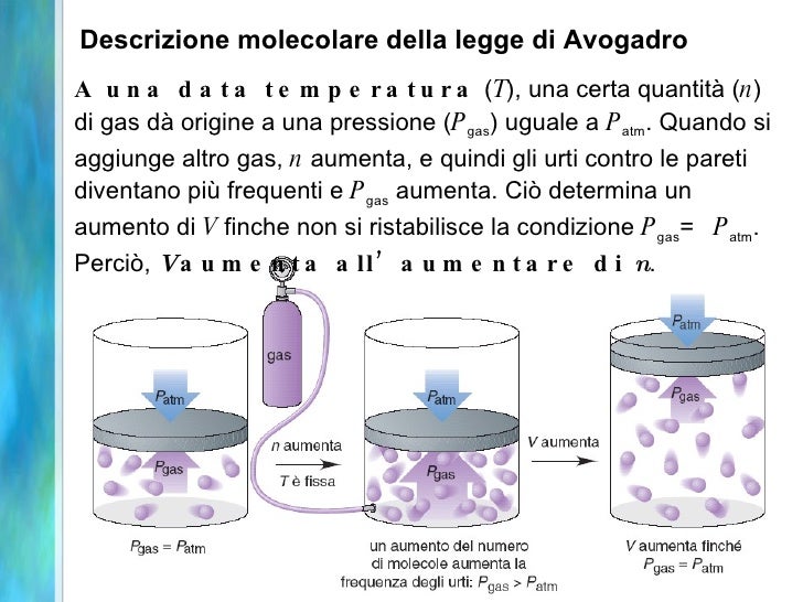 La medicina alza una potenzialità in una base vegetale