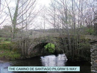 THE CAMINO DE SANTIAGO PILGRIM´S WAY 