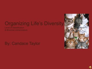 Organizing Life’s Diversity.Level of classification & Binomial nomenclature By: Candace Taylor 