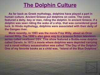 The Dolphin Culture ,[object Object],[object Object]