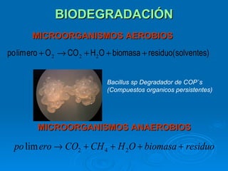 BIODEGRADACIÓN
       MICROORGANISMOS AEROBIOS
po lim ero + O 2 → CO 2 + H2O + biomasa + residuo( solventes)


                              Bacillus sp Degradador de COP`s
                              (Compuestos organicos persistentes)




         MICROORGANISMOS ANAEROBIOS

  po lim ero → CO2 + CH 4 + H 2O + biomasa + residuo
 