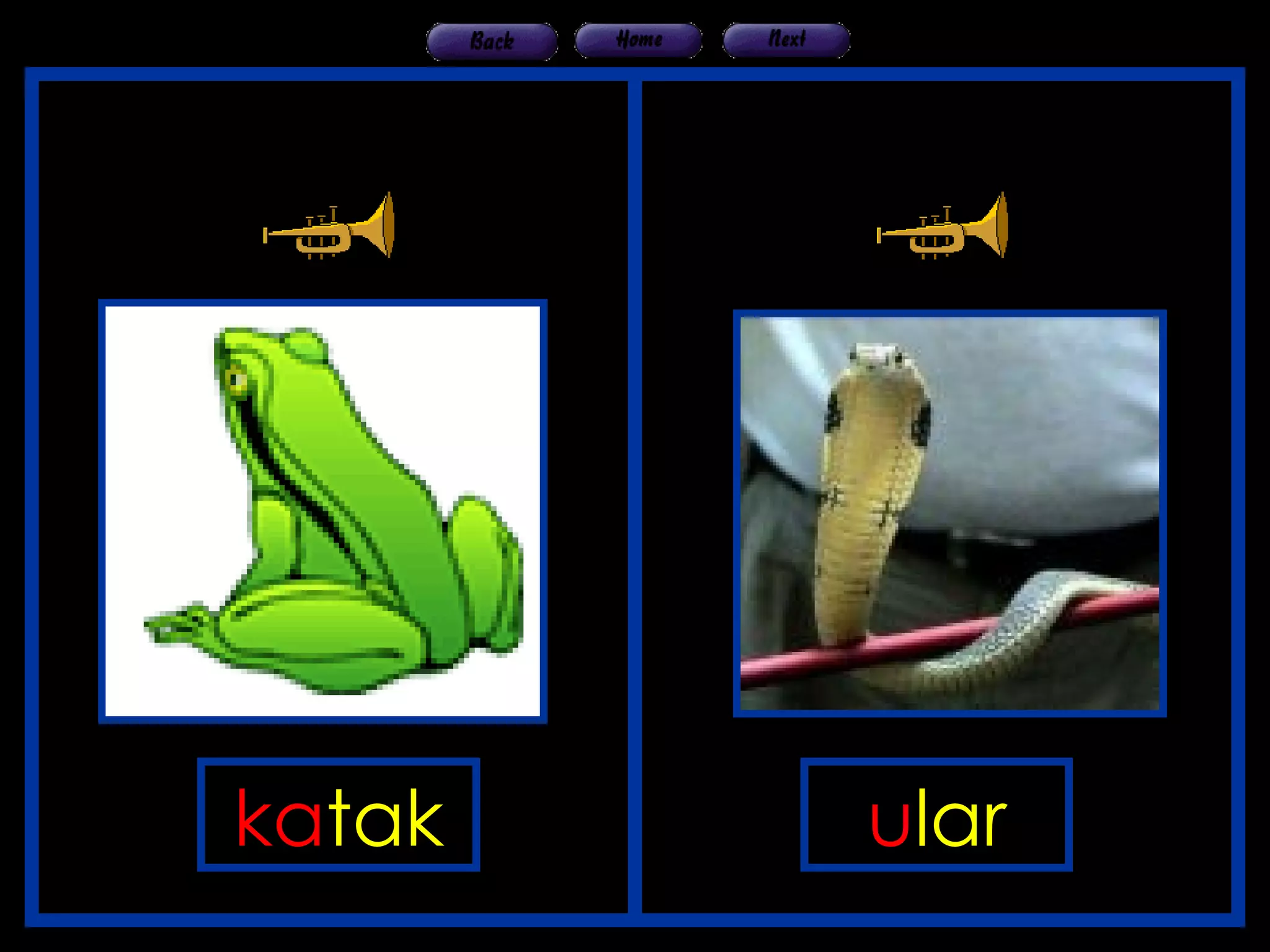 HAIWAN DAN BUNYI | PPT