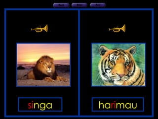 HAIWAN DAN BUNYI | PPT