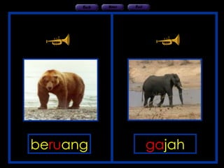 HAIWAN DAN BUNYI | PPT