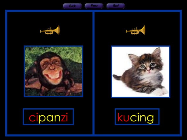 HAIWAN DAN BUNYI | PPT