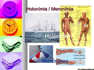 Holonímia / Meronímia Holónimos Merónimos www.vertentes.na-internet.com 