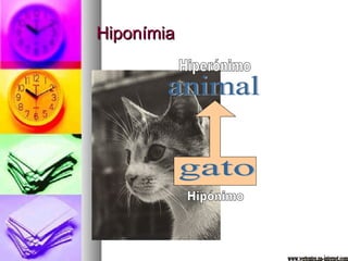 Hiponímia Hiperónimo Hipónimo gato animal www.vertentes.na-internet.com 