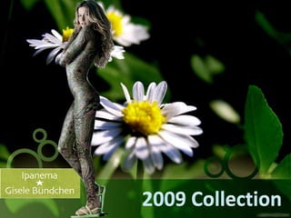 2009 Collection 