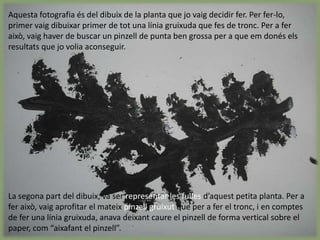 Per a fer l’activitat es va muntar comuna petita botigueta de branques per a que cadascú agafés la que volia representar al paper. Amb un suport de plastilina, ens vam posar la planteta davant, i després d’observar-la una petita estona, ens vam posar a    dibuixar..A mesura que anàvem fent l’activitat, la Georgina va anarseleccionant diferents dibuixos per talde que tota la classe pogués veure lavarietat de traços que es podenaconseguir dibuixant un sol objecte.