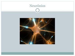 Neurônios 