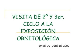 VISITA DE 2º Y 3er. CICLO A LA EXPOSICIÓN ORNITOLÓGICA 29 DE OCTUBRE DE 2009 
