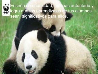 Enseña con humildad, no seas autoritario y logra que los aprendizajes de tus alumnos sean  significativos para ellos.