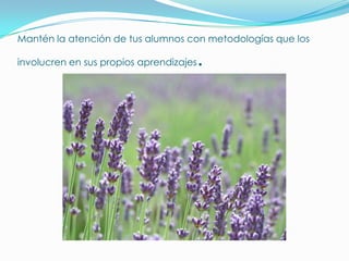 Mantén la atención de tus alumnos con metodologías que los involucren en sus propios aprendizajes.