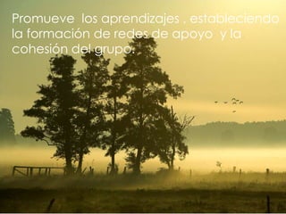 Promueve  los aprendizajes , estableciendo la formación de redes de apoyo  y la cohesión del grupo.