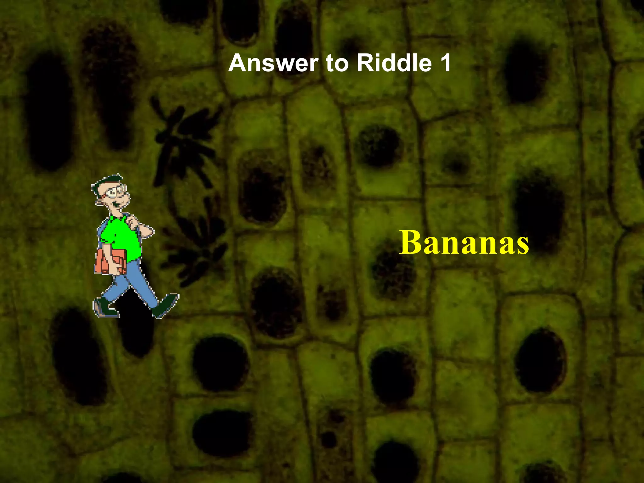 Answer to Riddle 1 Bananas 