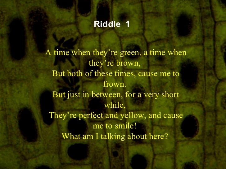 Riddles About Time / ITS RIDDLE TIME YouTube / Check spelling or type
