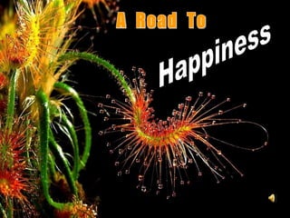 A  Road  To Happiness 