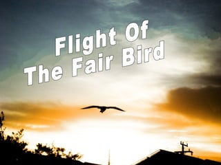 Flight Of  The Fair Bird 