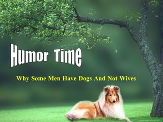 Humor  Time Why Some Men Have Dogs And Not Wives 