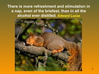 There is more refreshment and stimulation in a nap, even of the briefest, than in all the alcohol ever distilled.  Edward Lucas 