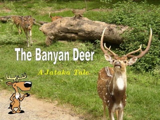 The Banyan Deer A Jataka Tale 