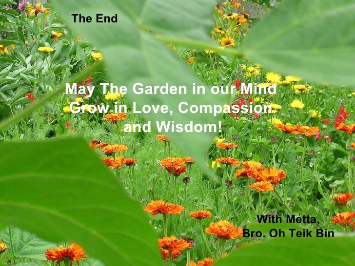 The Garden Of WISDOM