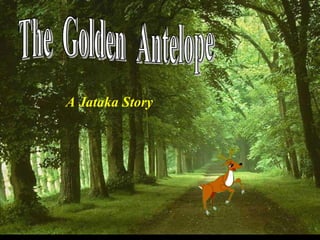 The  Golden  Antelope A Jataka Story 