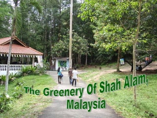 The Greenery Of Shah Alam, Malaysia 