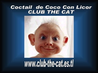 www.club-the-cat.es.tl Coctail  de Coco Con Licor CLUB THE CAT 