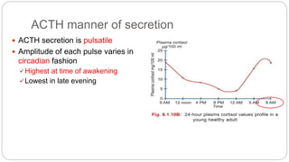 ACTH manner of secretion
 ACTH secretion is pulsatile
 Amplitude of each pulse varies in
circadian fashion
Highest at time of awakening
Lowest in late evening
 