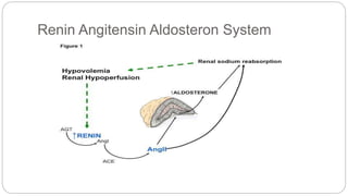 Renin Angitensin Aldosteron System
 