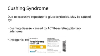 Cushing syndrome and Addison disease Nursing Lesson 2025 | PPTX
