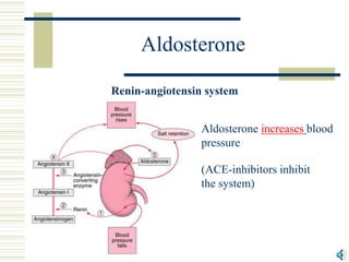 Aldosterone
Renin-angiotensin system
Aldosterone increases blood
pressure
(ACE-inhibitors inhibit
the system)
 