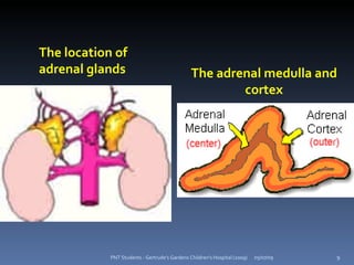 The location of
adrenal glands                                 The adrenal medulla and
                                                       cortex




            PNT Students - Gertrude's Gardens Children's Hospital (2009)   05/07/09   9
 