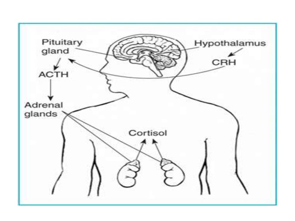 Endocrine Disorder (Cushing's syndrome)