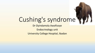 Cushing's syndrome
Dr Oyindamola Awofisoye
Endocrinology unit
University College Hospital, Ibadan
 