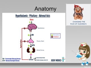 cushings_syndrome.pptx endocrine system s | PPTX