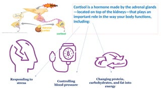 Comprehensive Overview of Cushing Syndrome and Pathological ...