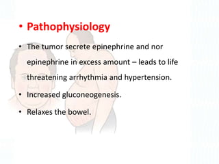 • Pathophysiology
• The tumor secrete epinephrine and nor
epinephrine in excess amount – leads to life
threatening arrhythmia and hypertension.
• Increased gluconeogenesis.
• Relaxes the bowel.
 
