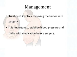 Management
• Treatment involves removing the tumor with
surgery.
• It is important to stabilize blood pressure and
pulse with medication before surgery.
 