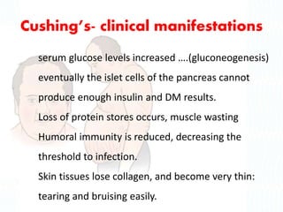 Cushing’s- clinical manifestations
serum glucose levels increased ….(gluconeogenesis)
eventually the islet cells of the pancreas cannot
produce enough insulin and DM results.
Loss of protein stores occurs, muscle wasting
Humoral immunity is reduced, decreasing the
threshold to infection.
Skin tissues lose collagen, and become very thin:
tearing and bruising easily.
 