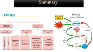 Approach to Cushing Syndrome | PPTX