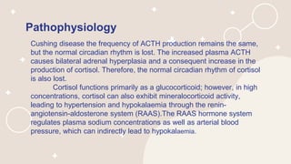 Pathophysiology
Cushing disease the frequency of ACTH production remains the same,
but the normal circadian rhythm is lost. The increased plasma ACTH
causes bilateral adrenal hyperplasia and a consequent increase in the
production of cortisol. Therefore, the normal circadian rhythm of cortisol
is also lost.
Cortisol functions primarily as a glucocorticoid; however, in high
concentrations, cortisol can also exhibit mineralocorticoid activity,
leading to hypertension and hypokalaemia through the renin-
angiotensin-aldosterone system (RAAS).The RAAS hormone system
regulates plasma sodium concentrations as well as arterial blood
pressure, which can indirectly lead to hypokalaemia.
 